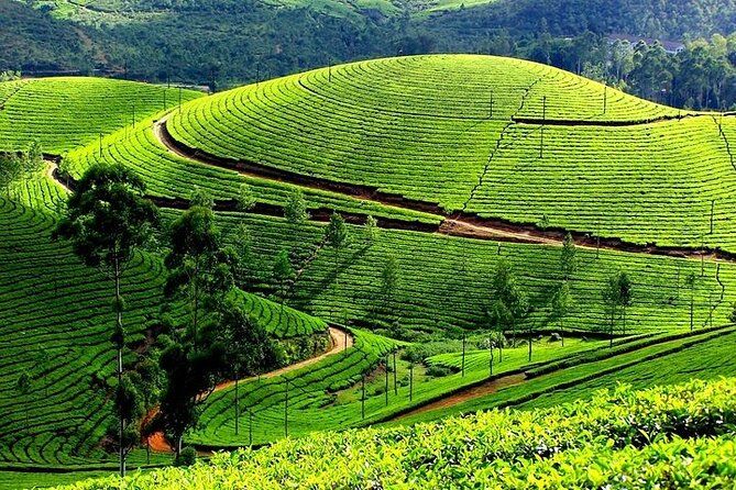 Plantation Tour